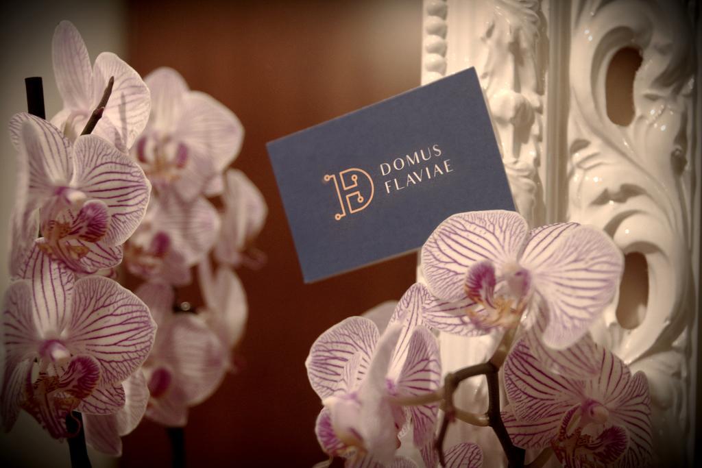 Domus Flaviae Otel Roma Dış mekan fotoğraf